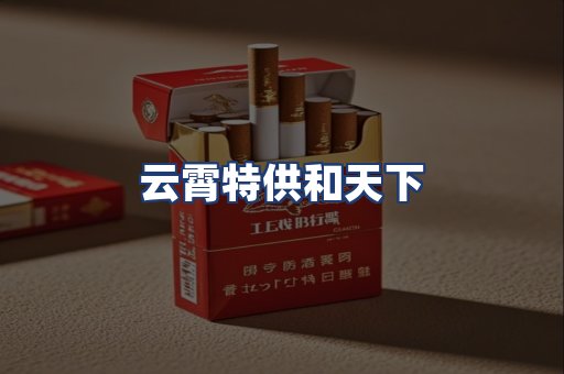 云霄特供和天下